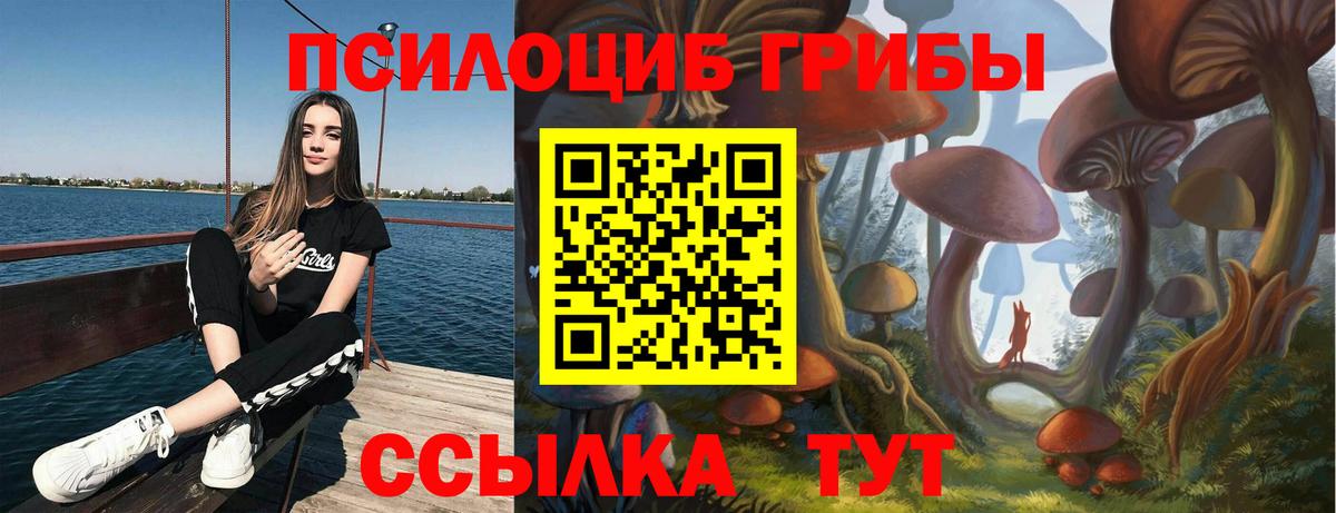 Галлюциногенные грибы Psilocybe Астрахань